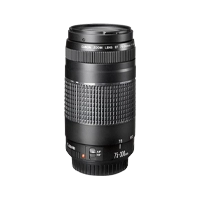 Nikon AF -P 75-300mm VR